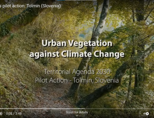 Project Video: Urban Vegetation in Tolmin